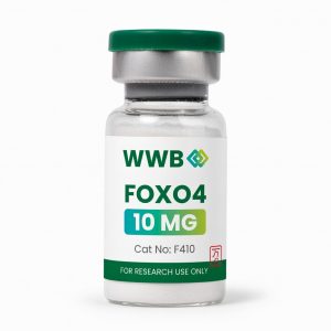 FOXO4