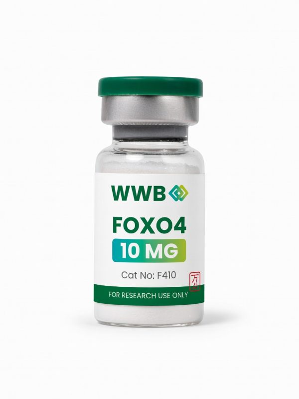 FOXO4