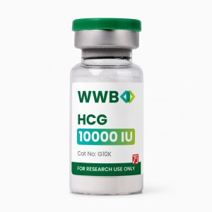HCG